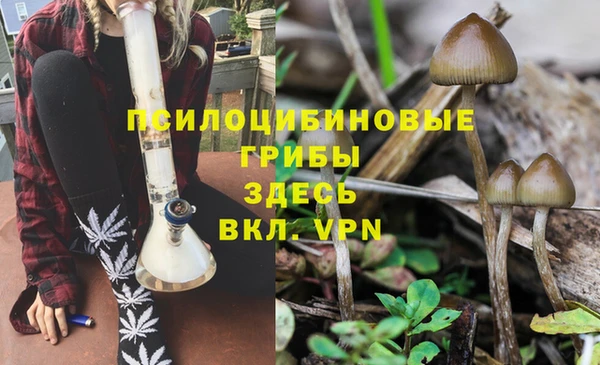 не бодяженный Нефтекумск