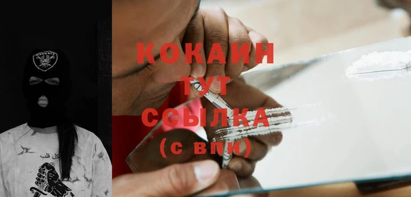 ГАЛЛЮЦИНОГЕННЫЕ ГРИБЫ Надым