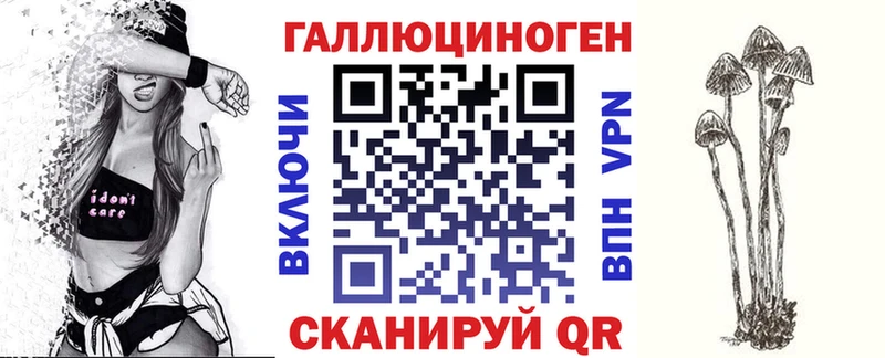 Галлюциногенные грибы Psilocybine cubensis Заозёрск